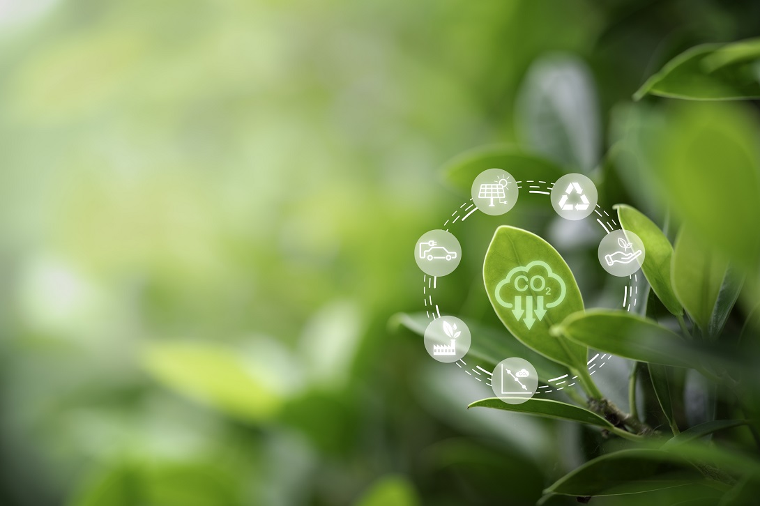 sustainable development and sustainable investing